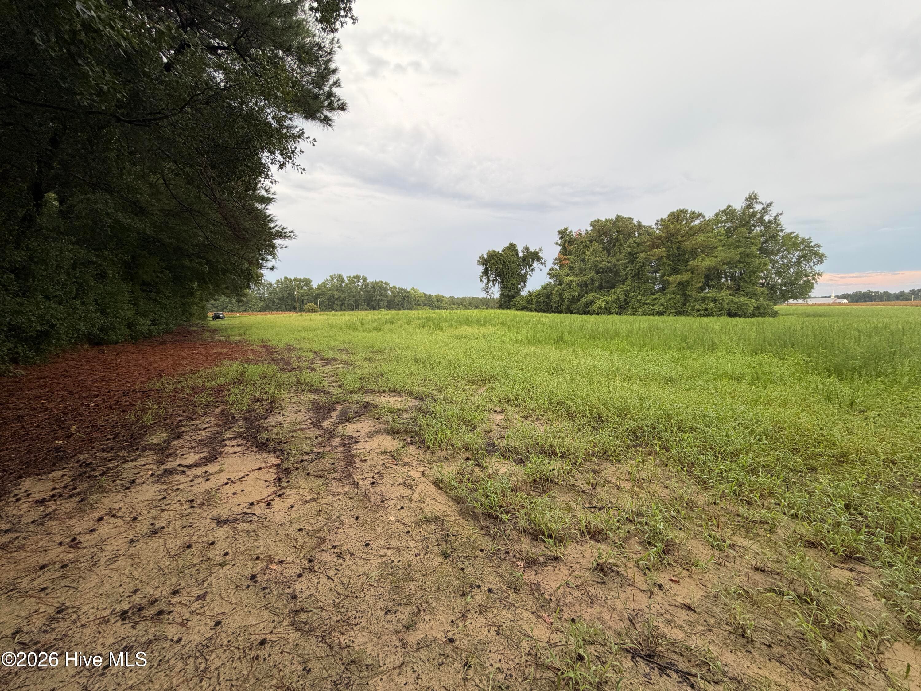 Residential Lot at Lot 9 Point Caswell Road, Willard, NC 28478, photo 9 of 12