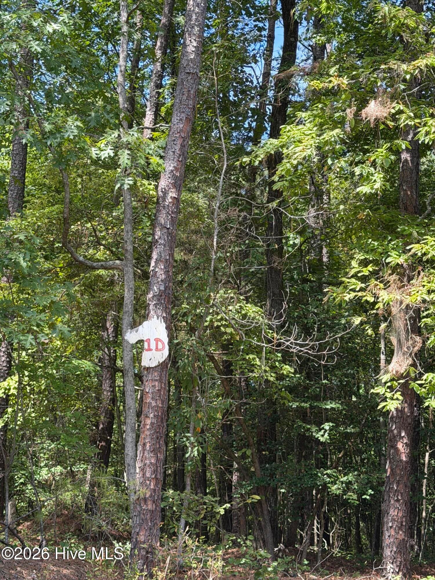 Residential Lot at 1d Gelding Gap Lane, Carthage, NC 28327, photo 2 of 5