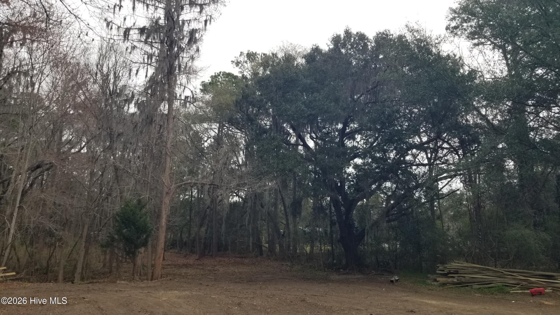 Undeveloped at 3120 Highmarket Street, Georgetown, SC 29440, photo 2 of 7