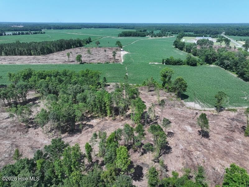 Agriculture at Tbd Highway 71, Red Springs, NC 28377, photo 7 of 17