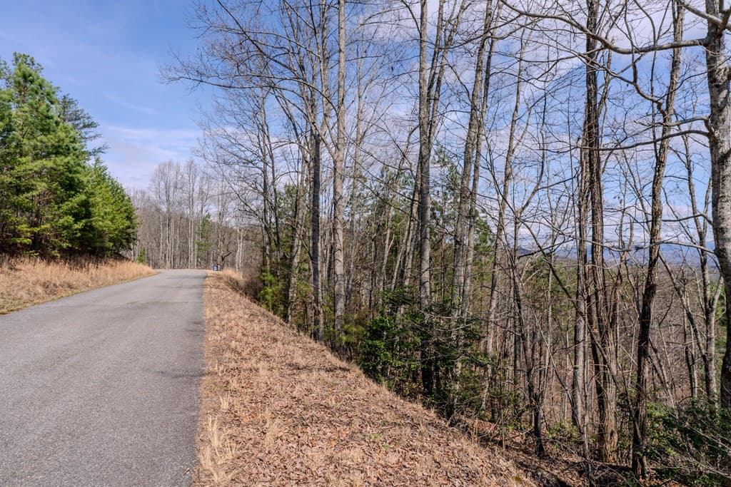 19/20 19,20 The Hills At Queens Gap, Blairsville, GA 30512