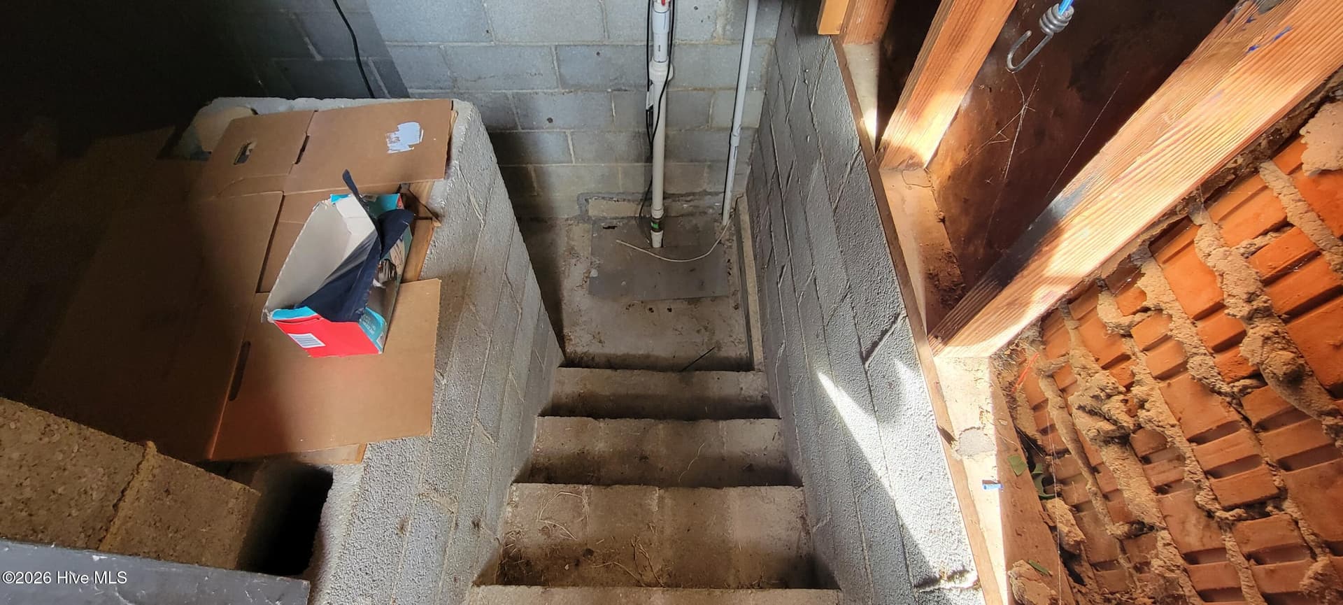 Basement from exterior - 110 Landon Drive, Washington, NC 27889