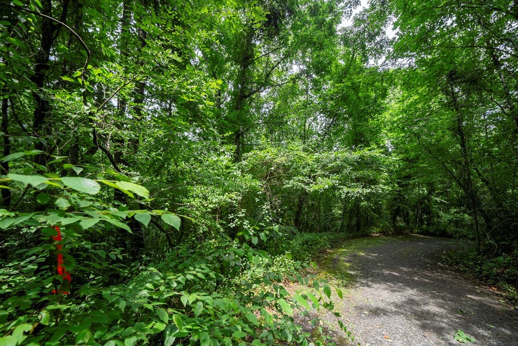 Land at 0 E Buffalo, Robbinsville, NC 28771, photo 6 of 6