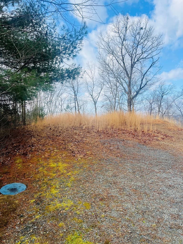 Residential Lot at 00 36 Aster Trail, Marble, NC 28905, photo 6 of 14