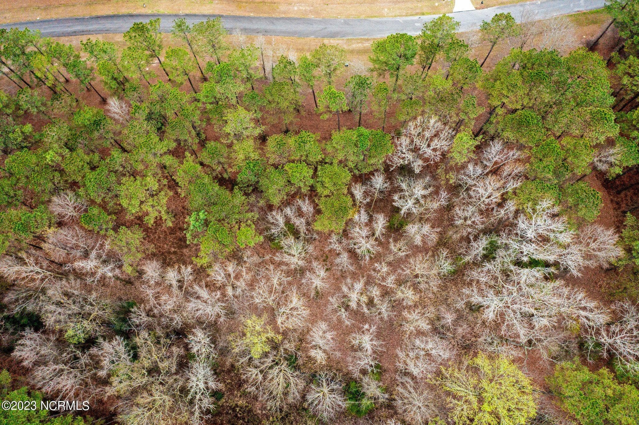 405 7 Anna Lane, Snow Hill, NC 28580