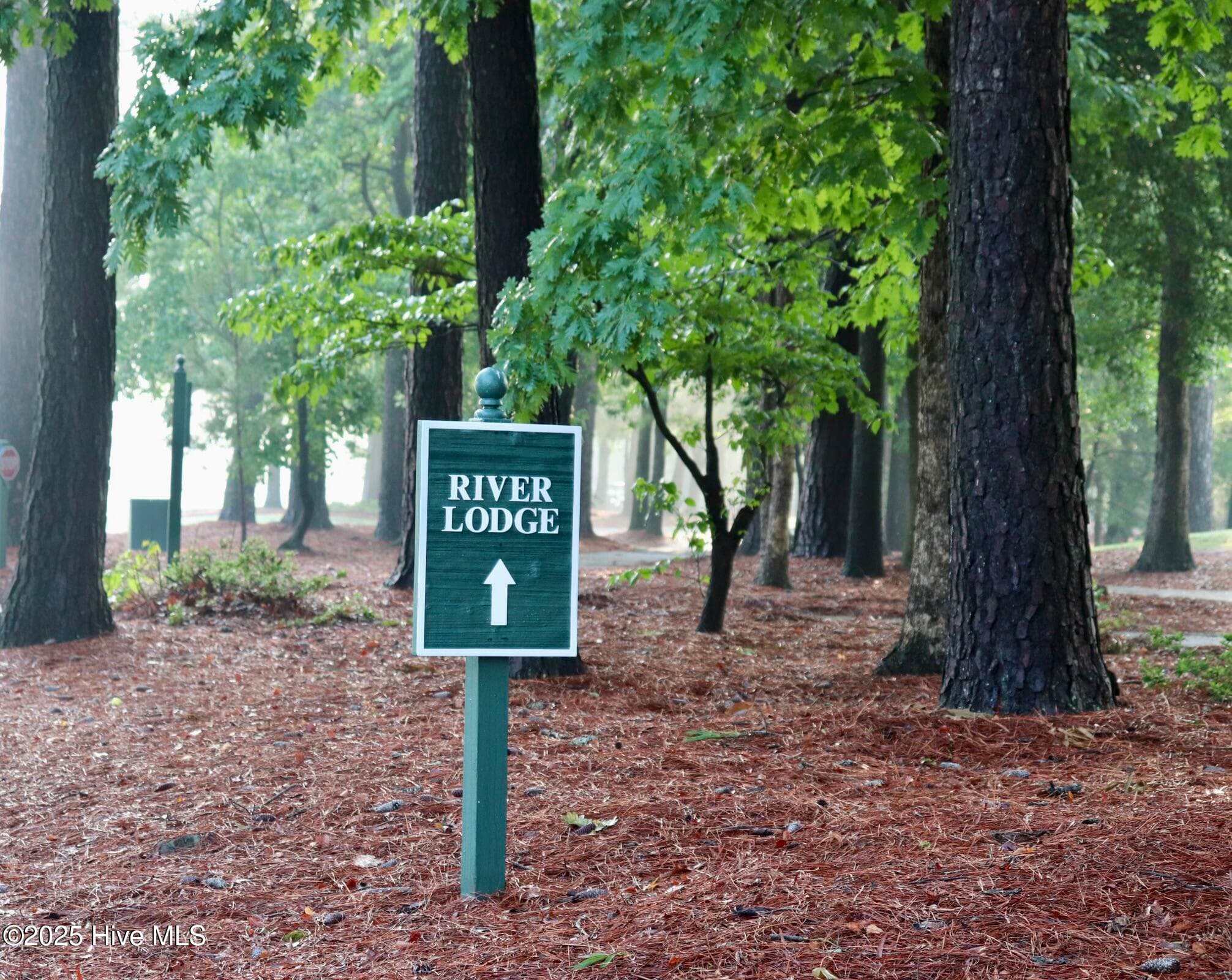 Single Family Residence at 141 Sycamore Lakes Drive, Wallace, NC 28466, photo 99 of 101