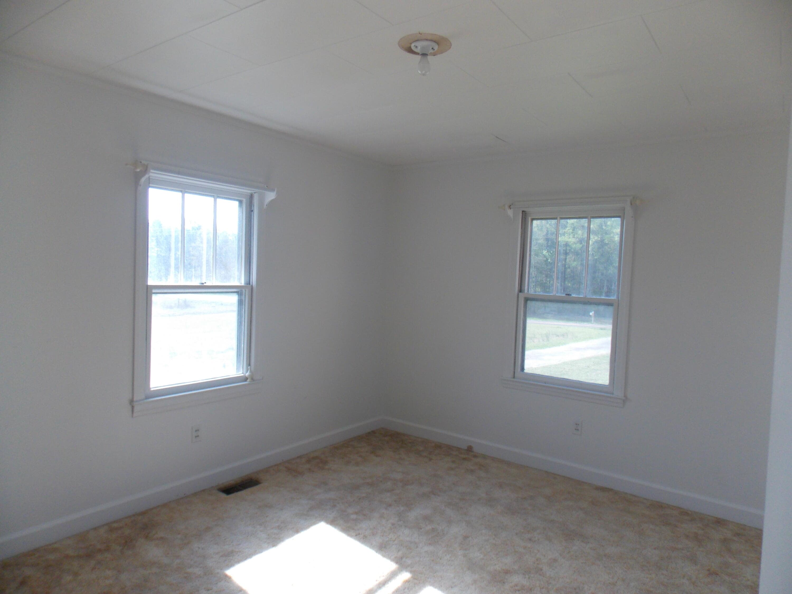 Agriculture at 4232 Double Branches Road, Lincolnton, GA 30817, photo 12 of 16