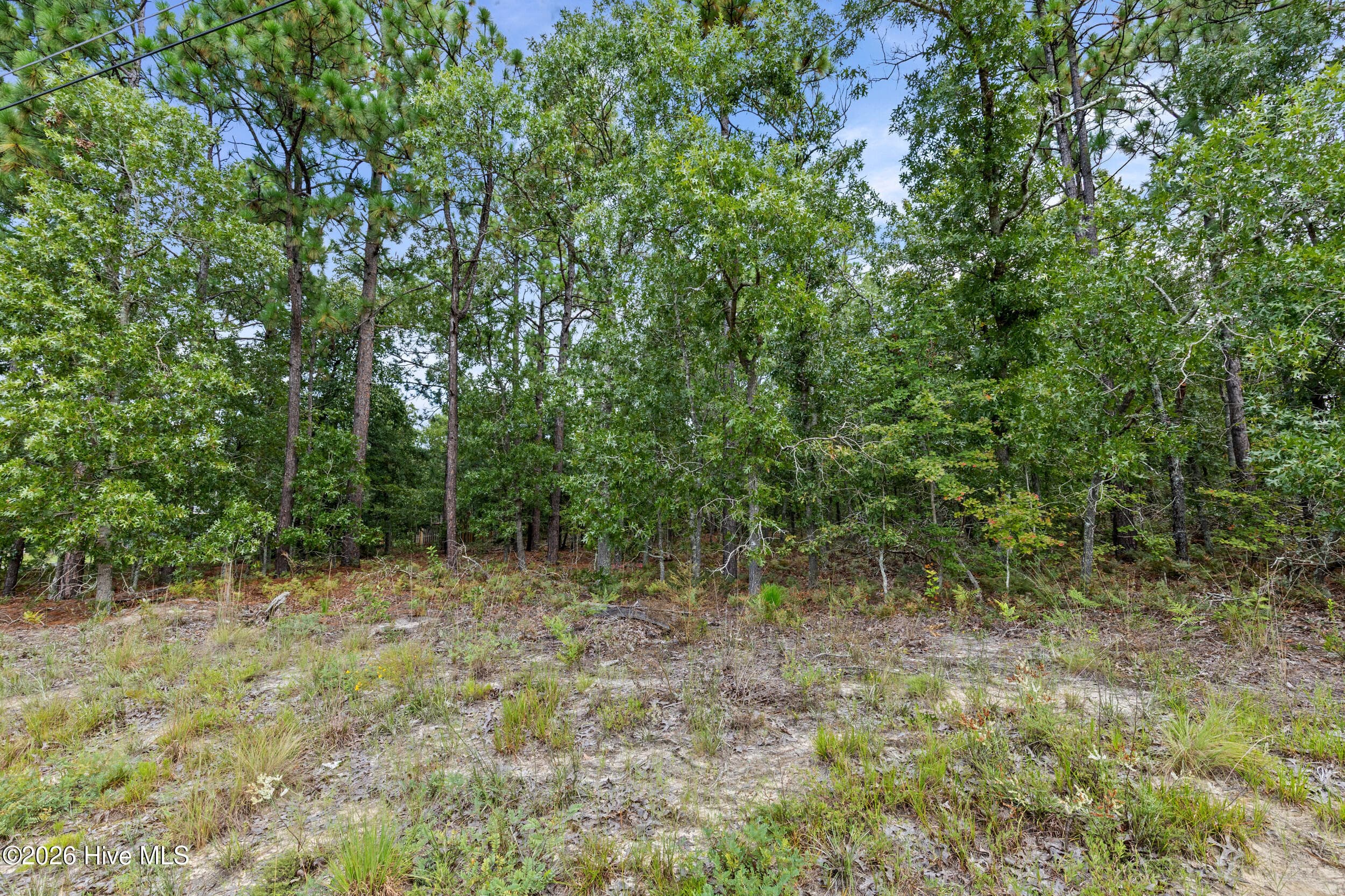 Wooded at 2467 Patiller Road, Hephzibah, GA 30815, photo 14 of 16