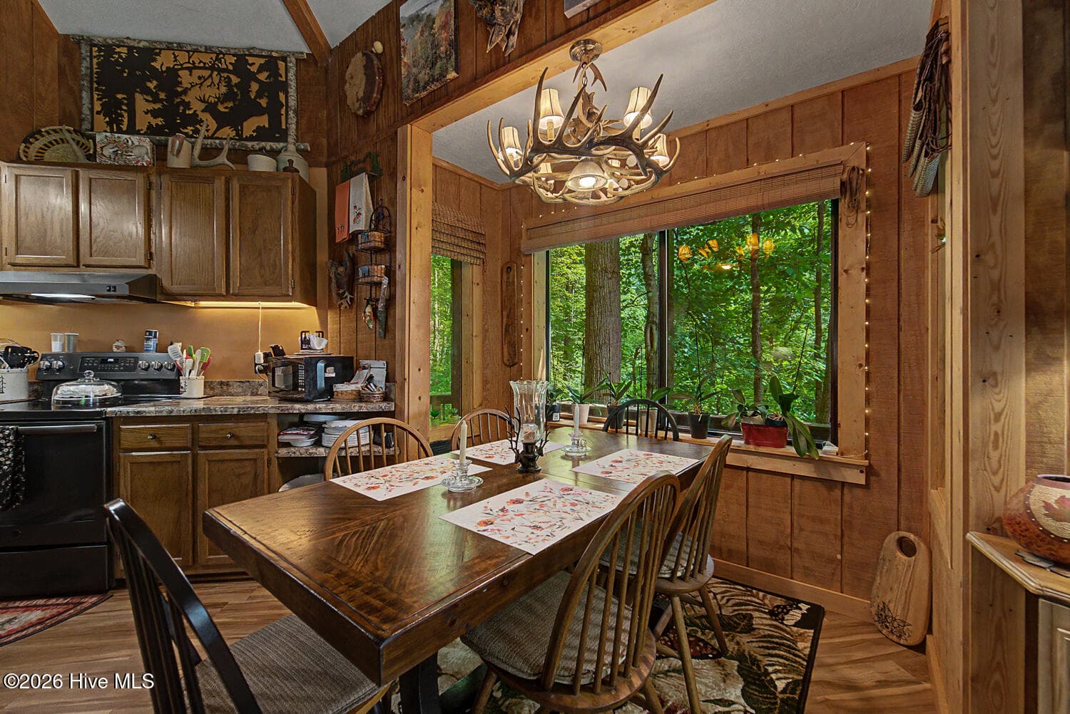 Single Family Residence at 204 Mountain Laurel Drive, Bryson City, NC 28713, Bryson City, photo 7 of 73