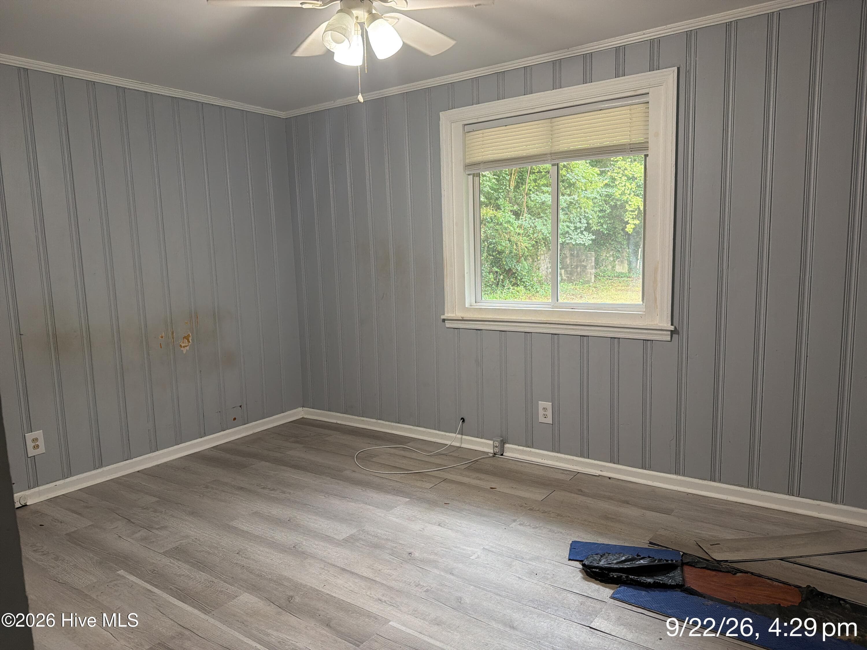 Single Family Residence at 2716 Hazel Street, Augusta, GA 30909, photo 8 of 8