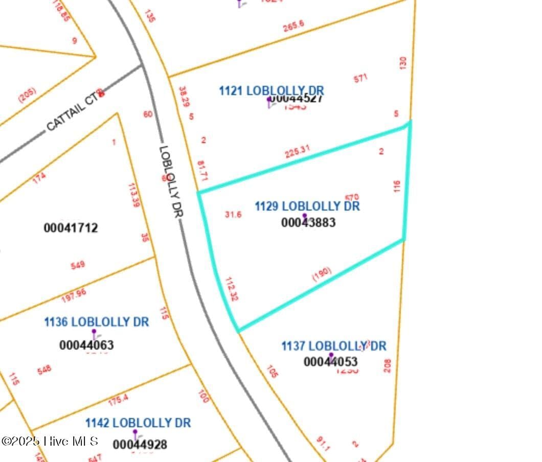 Residential Lot at 1129 Loblolly Drive, Vass, NC 28394, photo 2 of 3