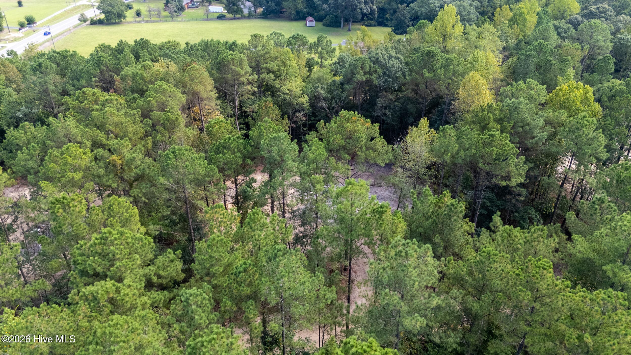 Manufactured Home at 0 Us Hwy 117 N Lot 1, Willard, NC 28478, photo 18 of 26