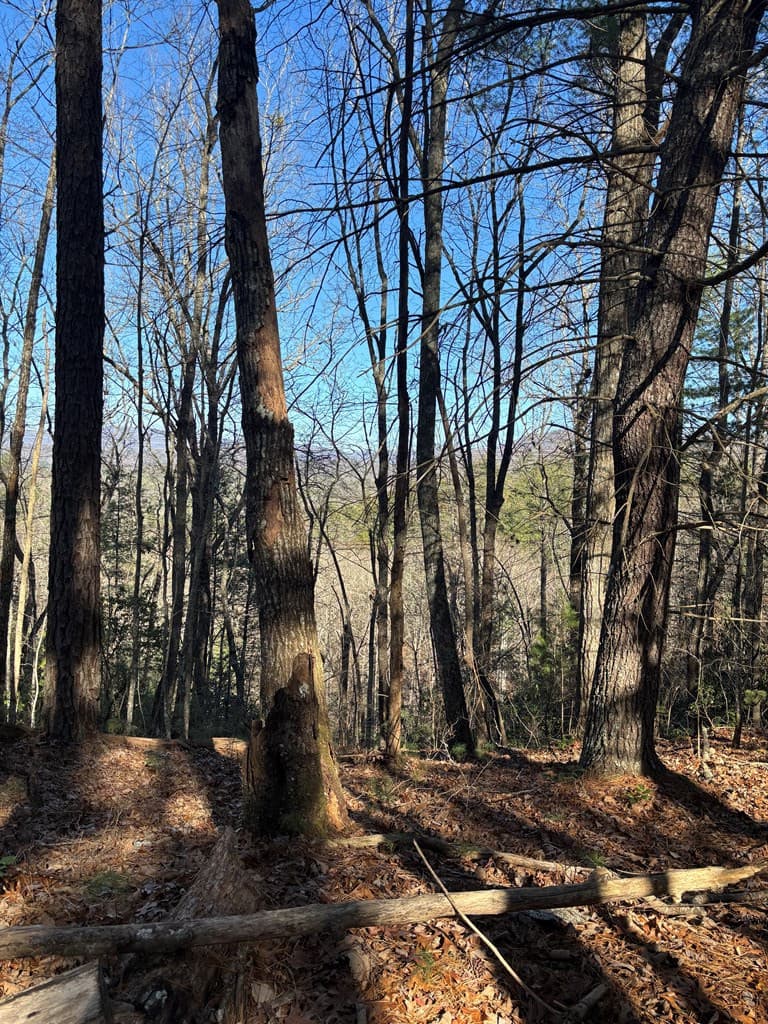 Land at Lot 60 Thundering Hill, Murphy, NC 28906, photo 2 of 2