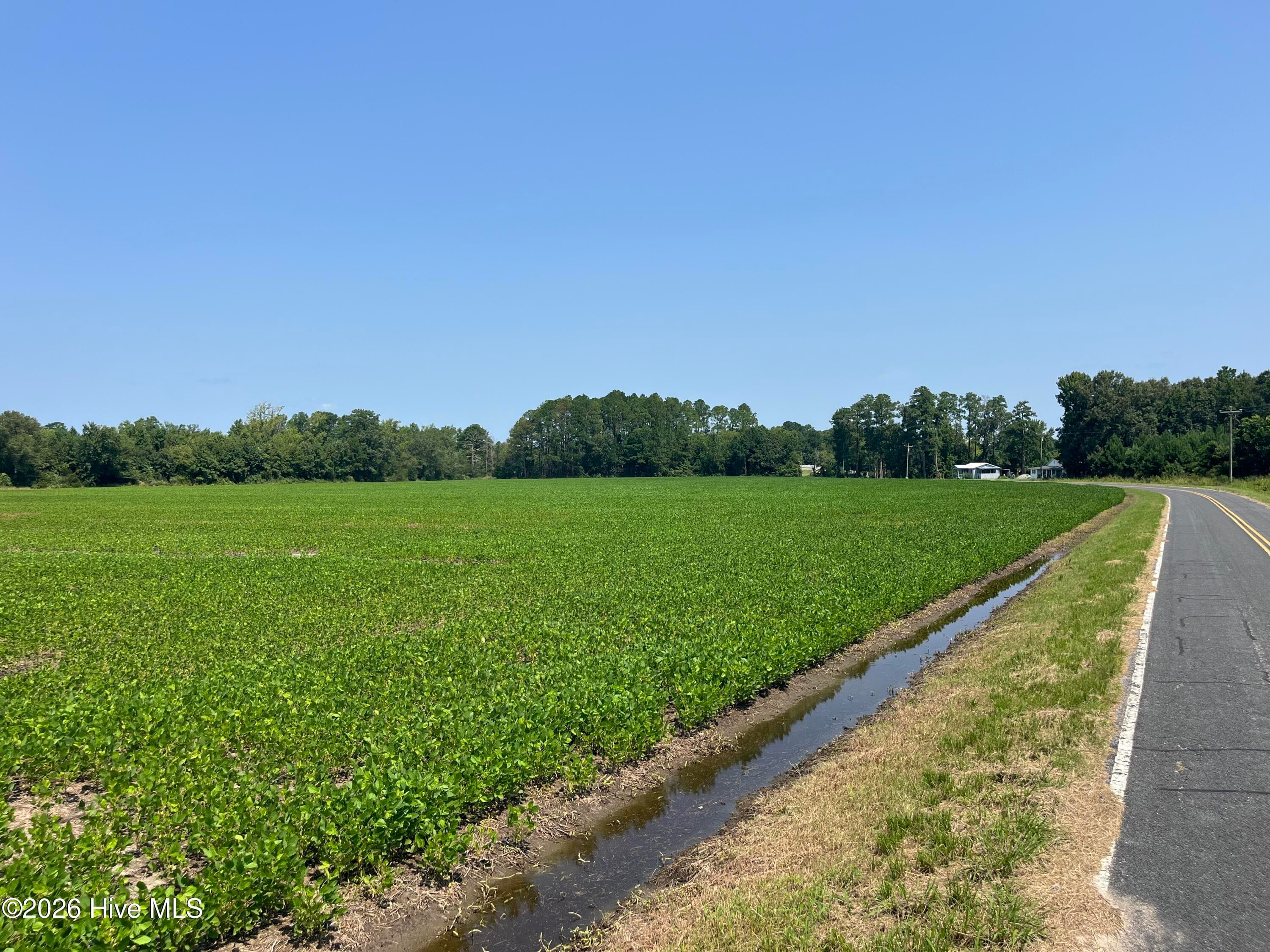 Residential Lot at 94 Whortonsville Road, Merritt, NC 28556, photo 2 of 11