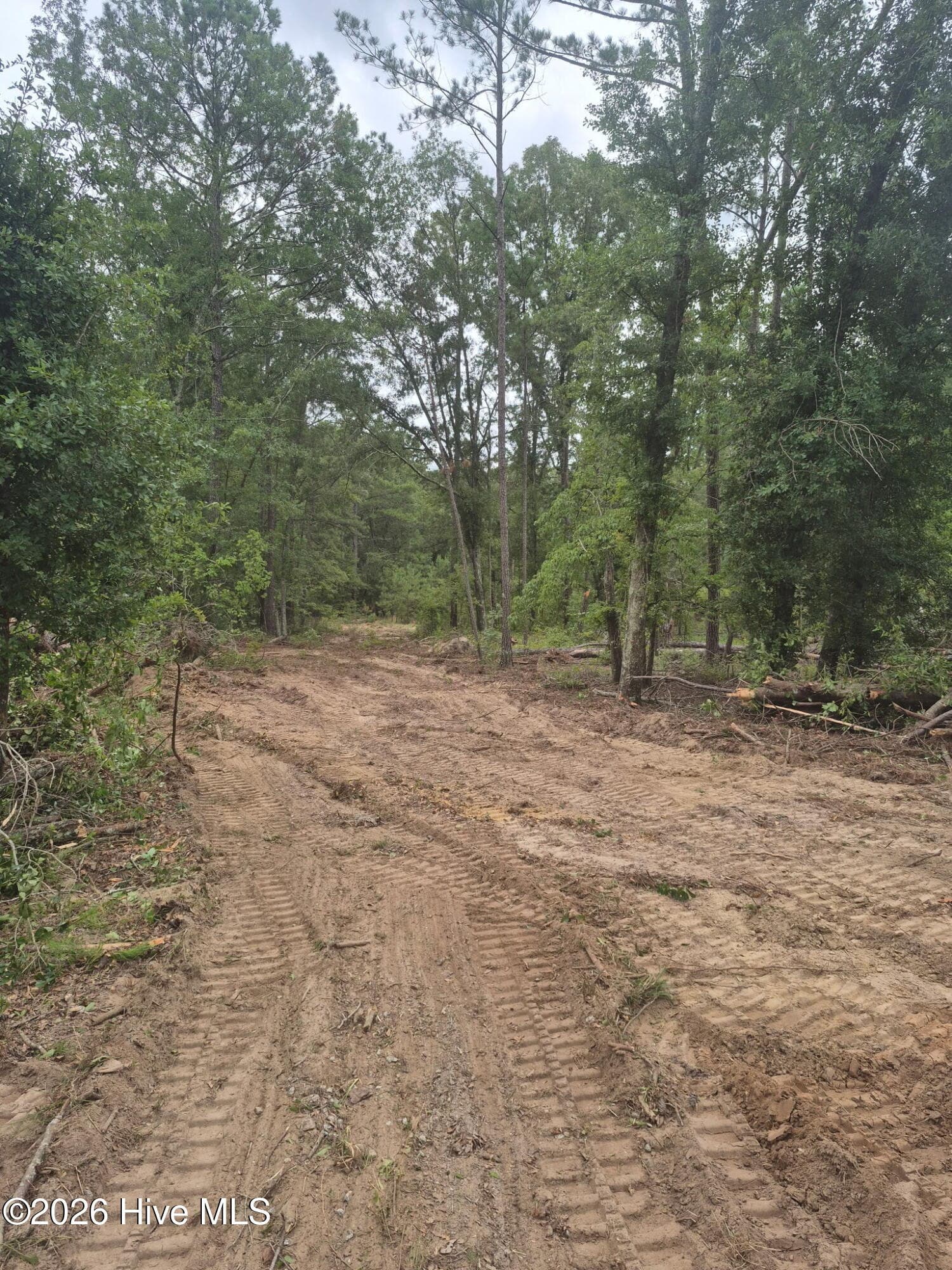 Undeveloped at 2120 Lavender Trail, Harlem, GA 30814, photo 3 of 4