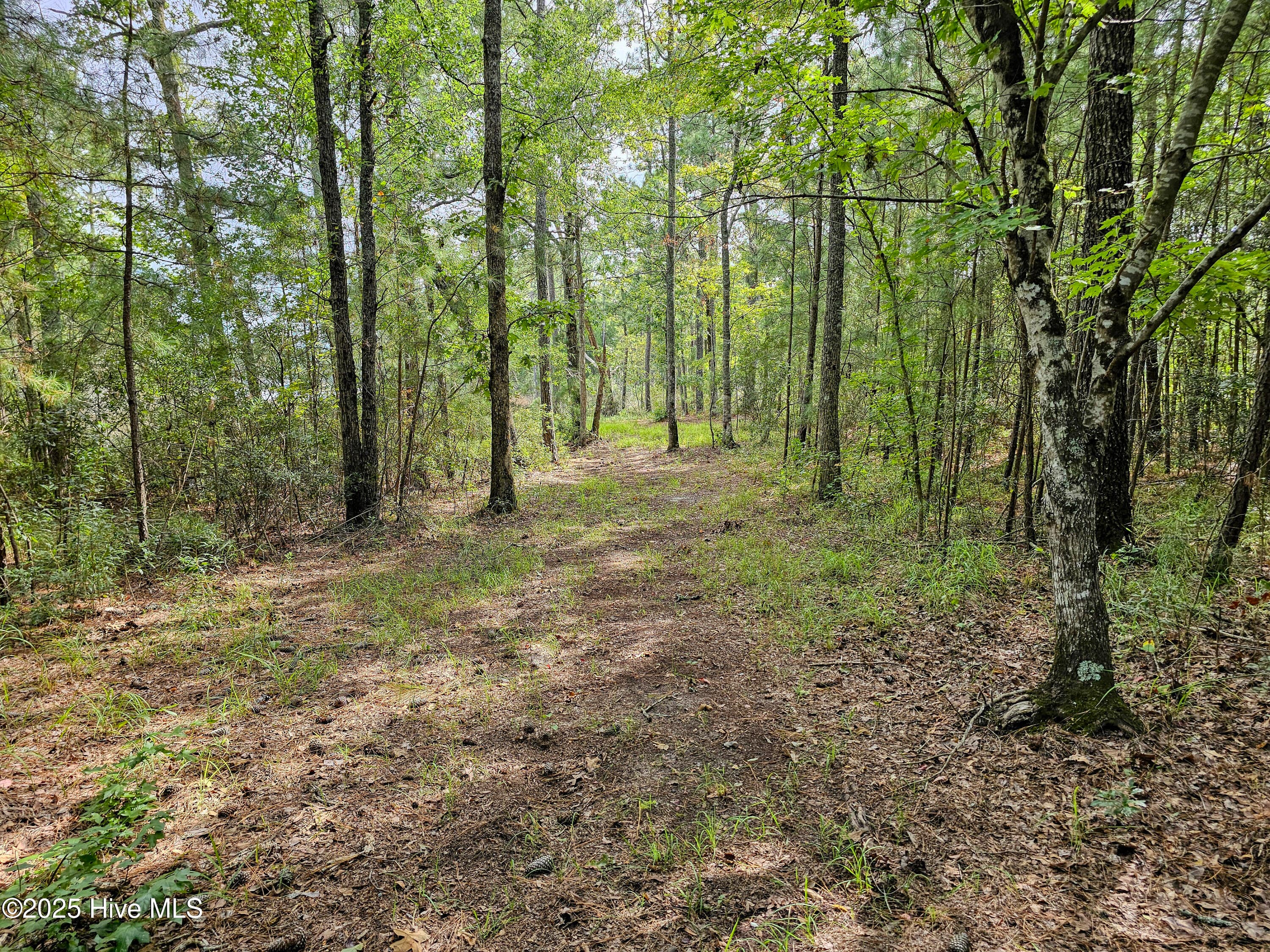 Residential Lot at Lot 77 77 Mcgowan Road, Bath, NC 27808, photo 9 of 16
