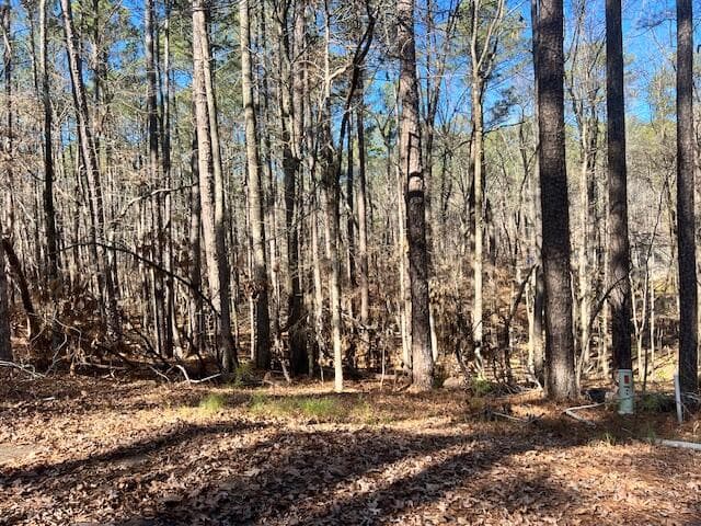 Residential Lot at 0 Oconee Lane, McCormick, SC 29835, photo 2 of 3