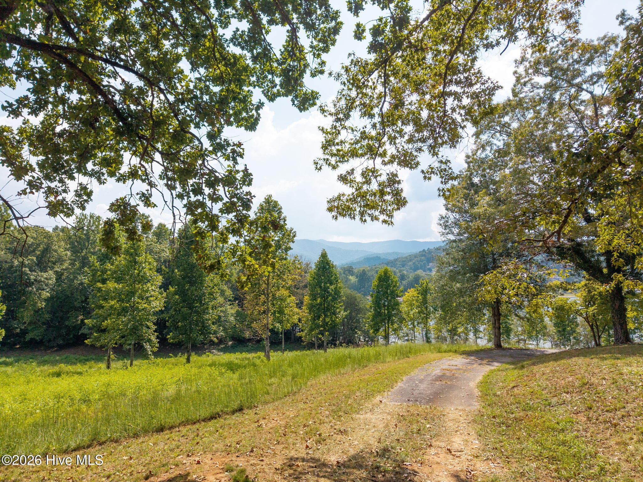 Undeveloped at 314 Lakeside Drive, Hiawassee, GA 30546, photo 4 of 9