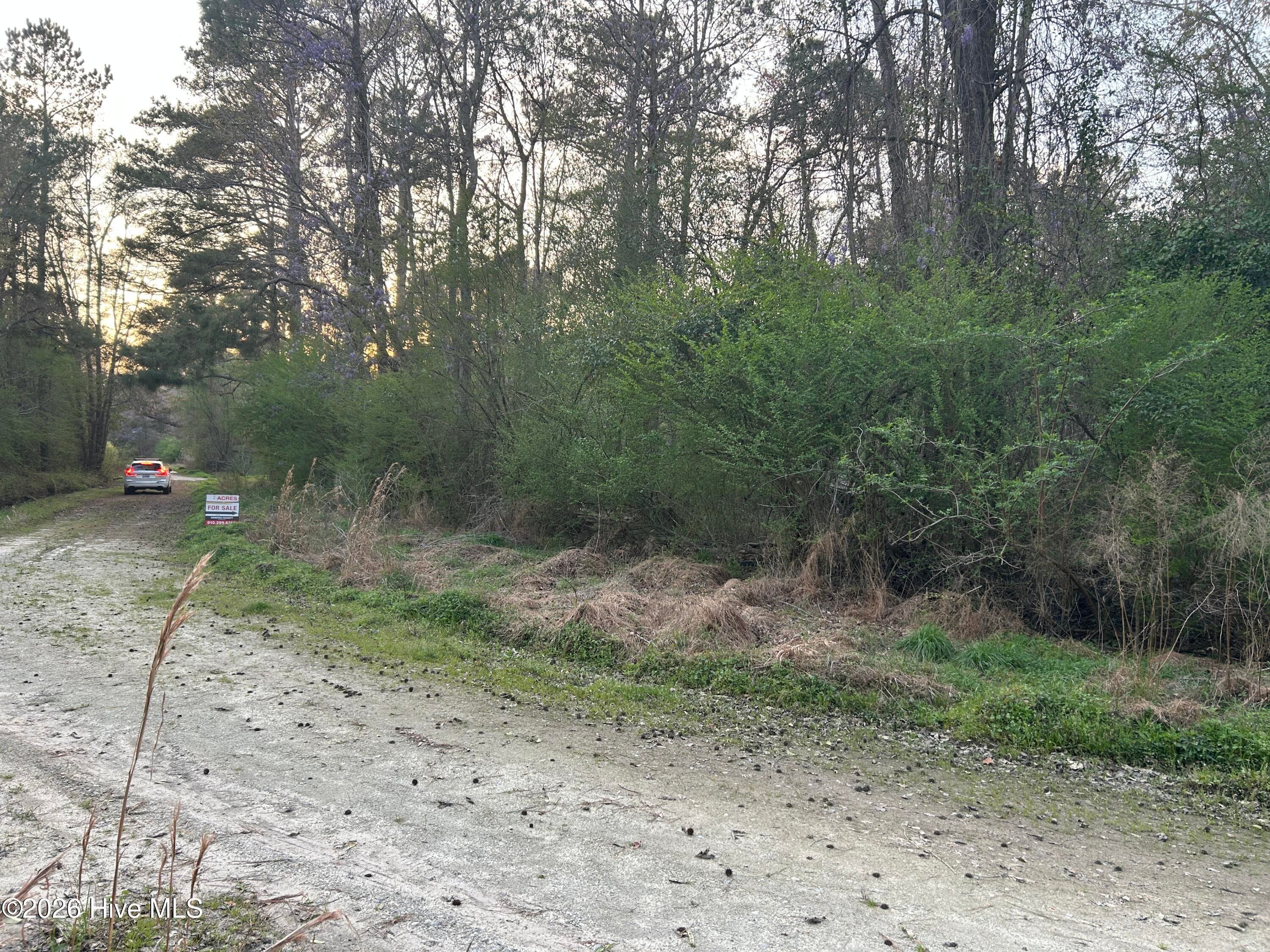 Residential Land at 351 Burgaw Creek Loop Road, Burgaw, NC 28425, photo 10 of 21