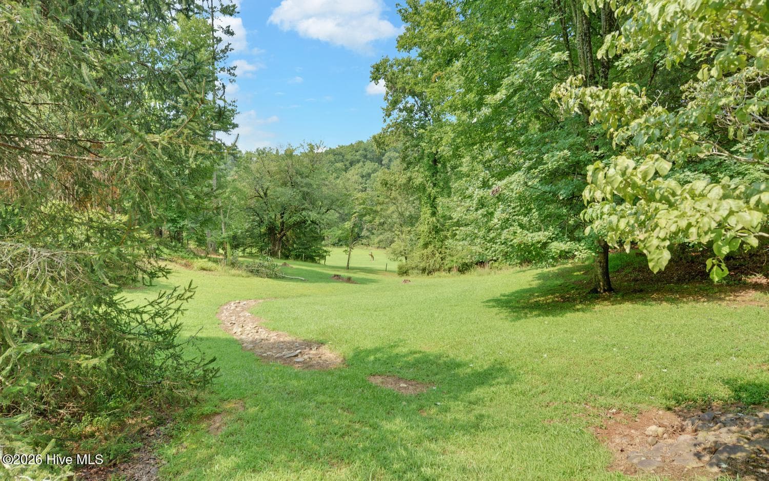Single Family Residence at 475 Rivercane Road, Brasstown, NC 28902, photo 4 of 5