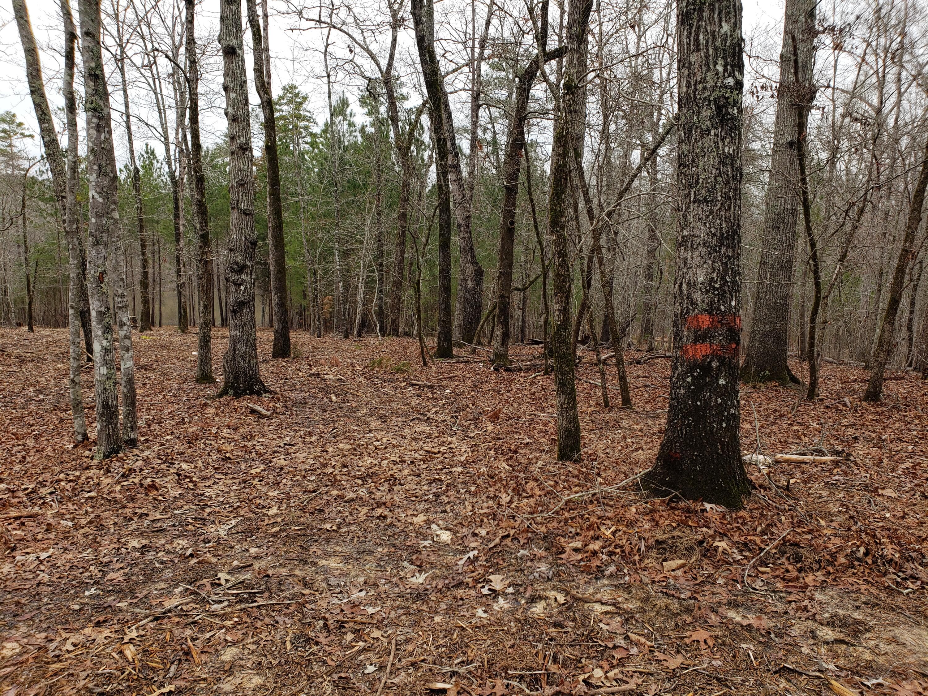 Residential Lot at 1102 Dogwood Drive, Lincolnton, GA 30817, photo 3 of 46
