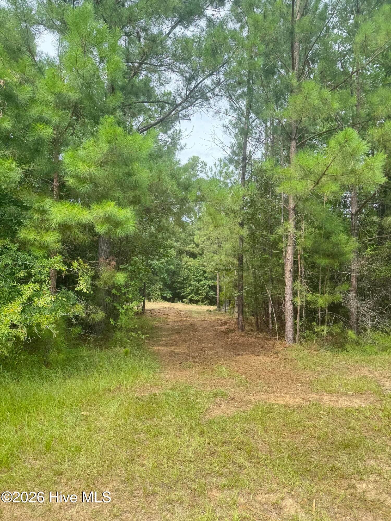 Residential Lot at 6481 Carriage Lane, Harlem, GA 30814, photo 2 of 6