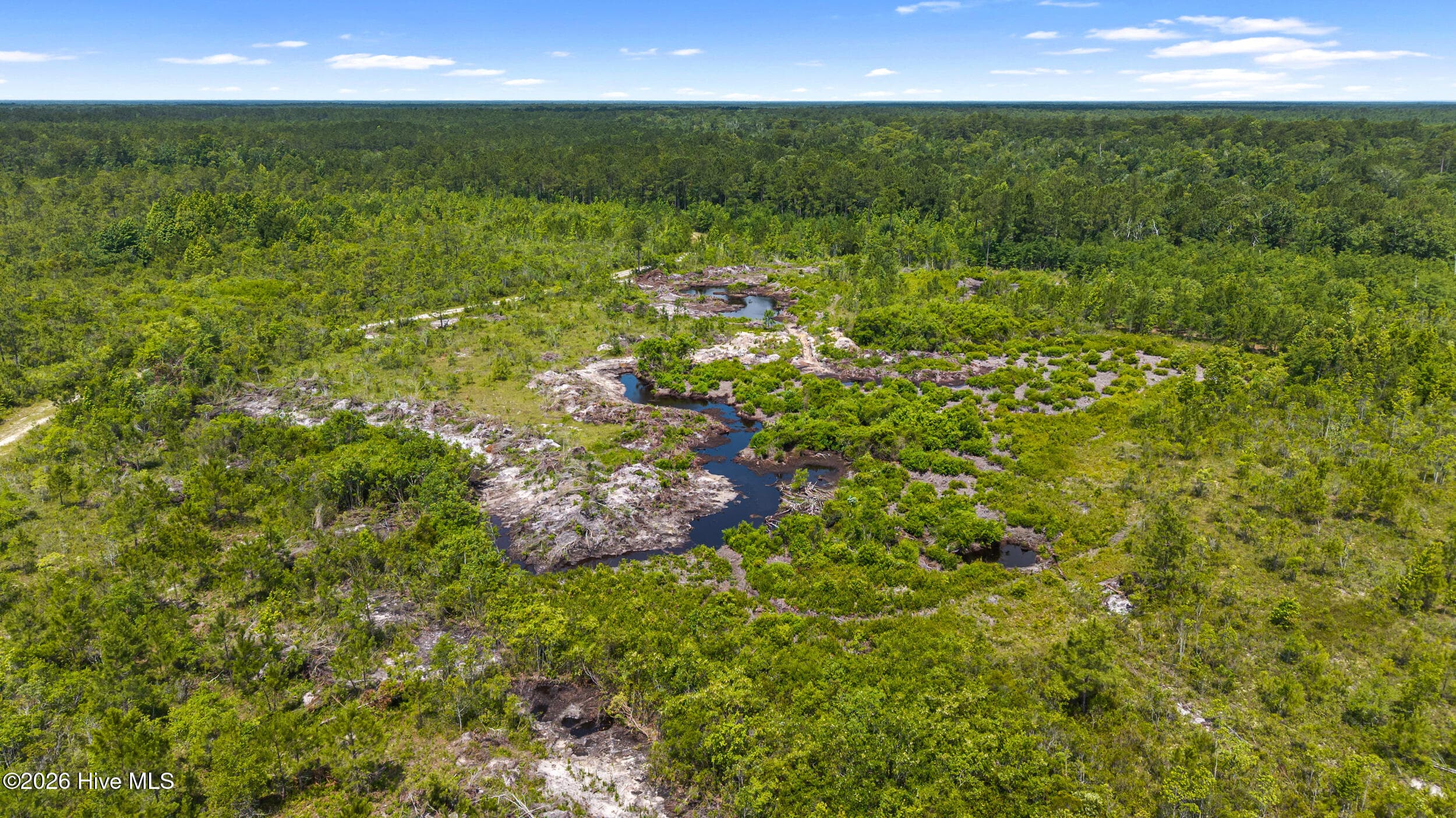 Residential Lot at 0 Tbd 110 Acres American Way Road, Rocky Point, NC 28457, photo 10 of 12