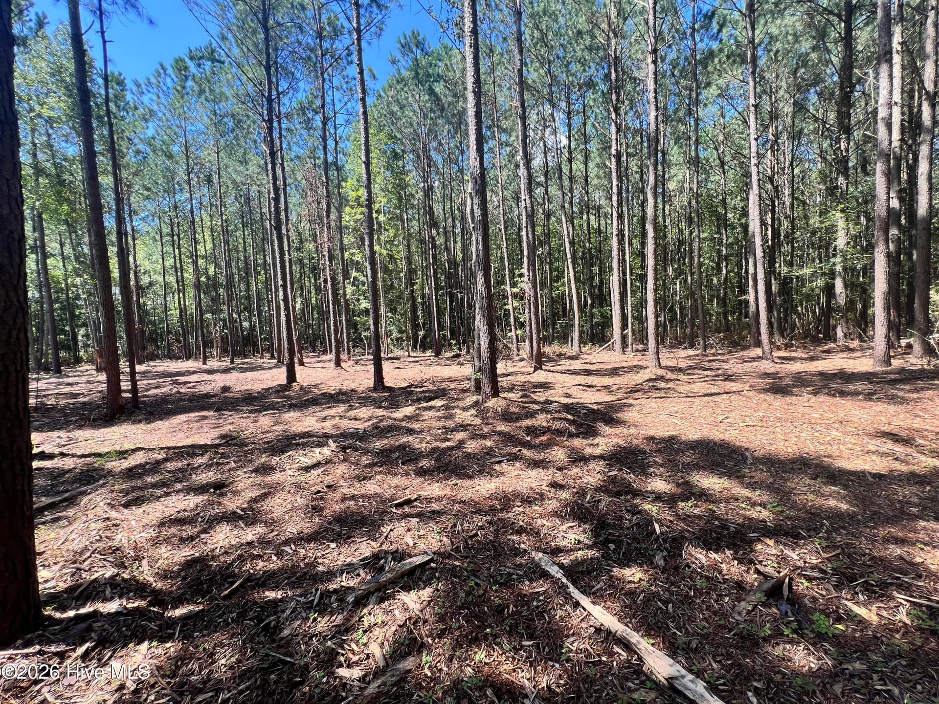 Residential Lot at Lot 1 Elm Street, Belhaven, NC 27810, photo 5 of 8