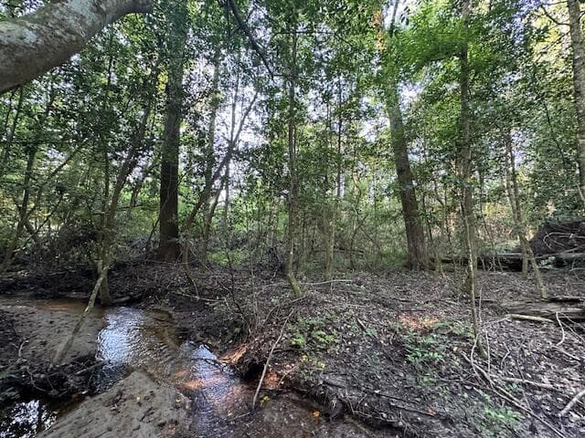 Undeveloped at 2576 Jessie James Pond Road, Wrens, GA 30833, photo 28 of 56