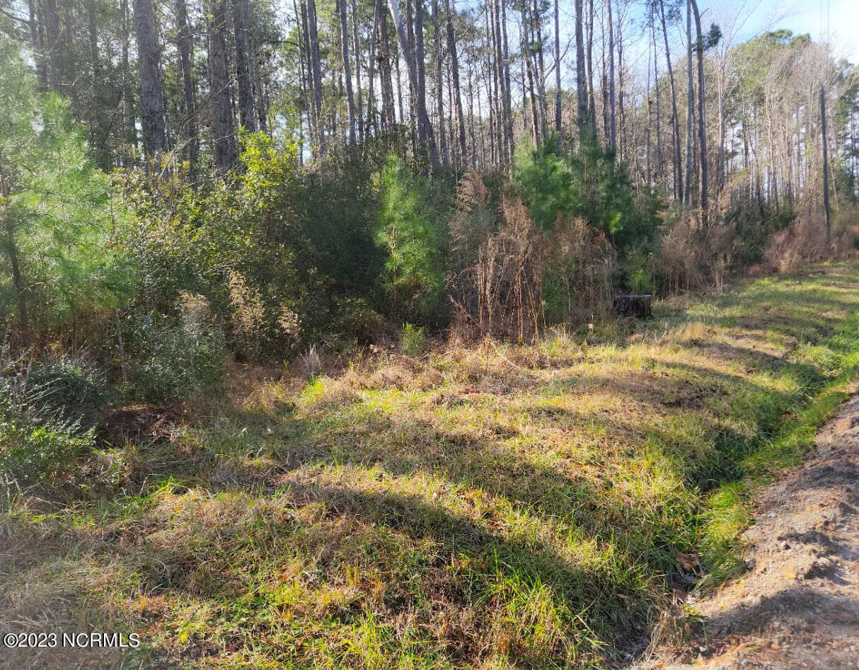 117 3 Oswell Brinson Road, Merritt, NC 28556