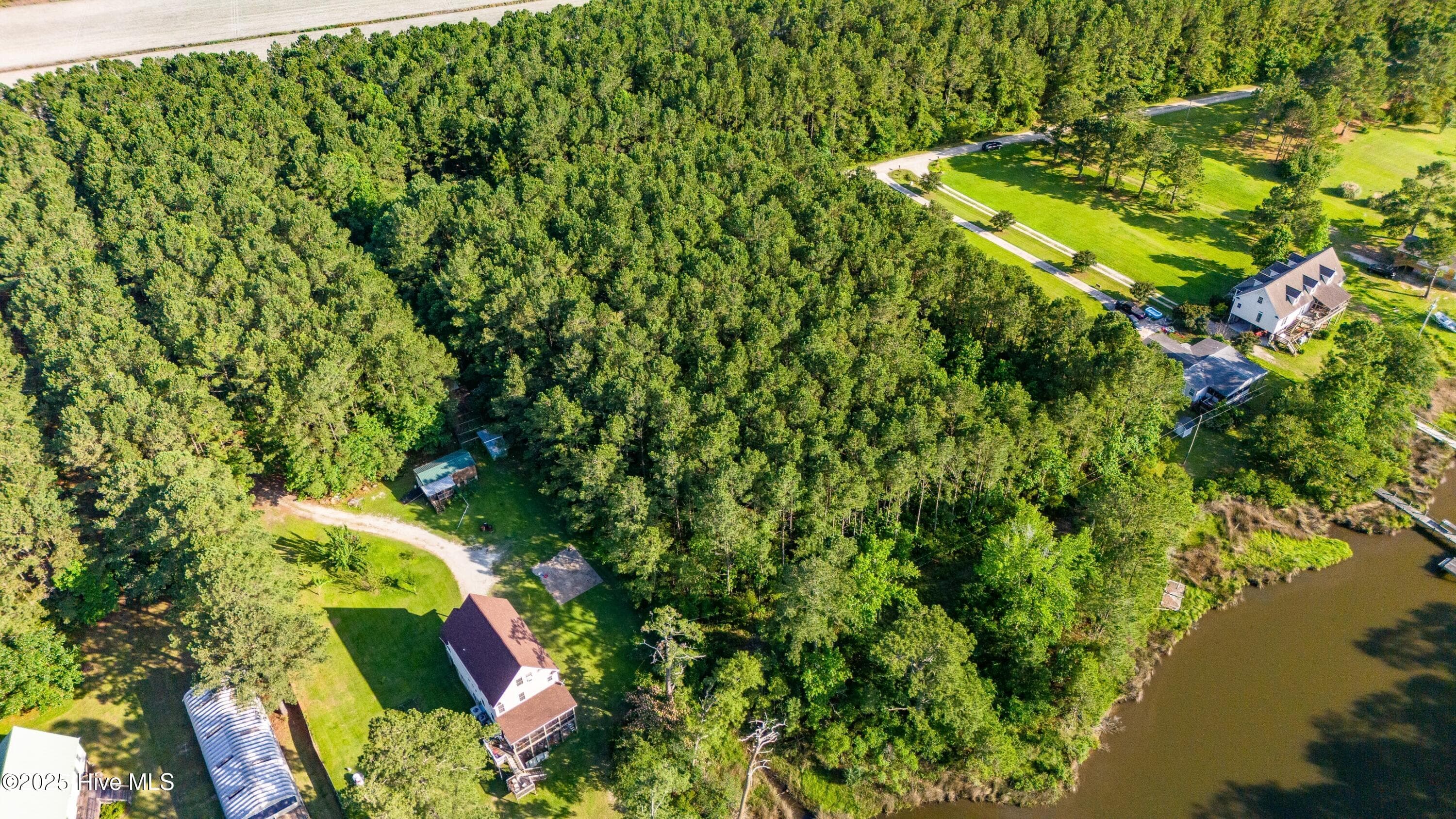Wooded at 7367 3 Florence Road, Merritt, NC 28556, photo 7 of 12