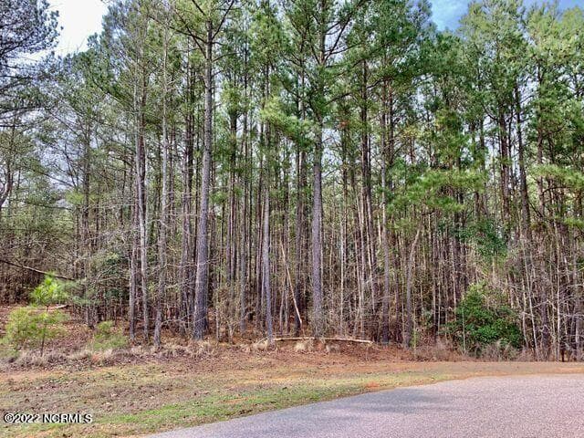 Residential Lot at 141 N State Lane, Rockingham, NC 28379, photo 17 of 17