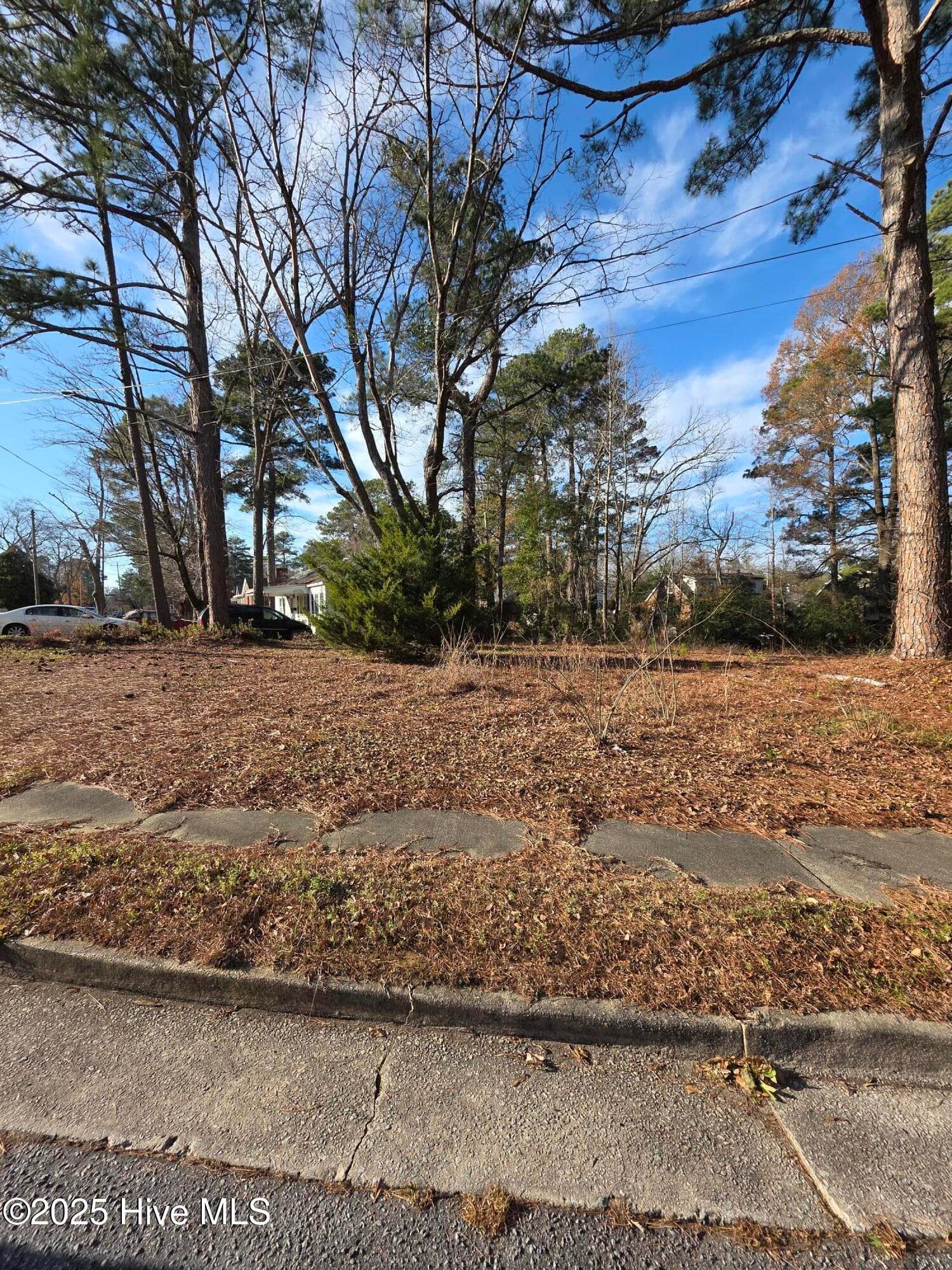 Residential Lot at 404 Summit Avenue, Kinston, NC 28501, photo 5 of 7