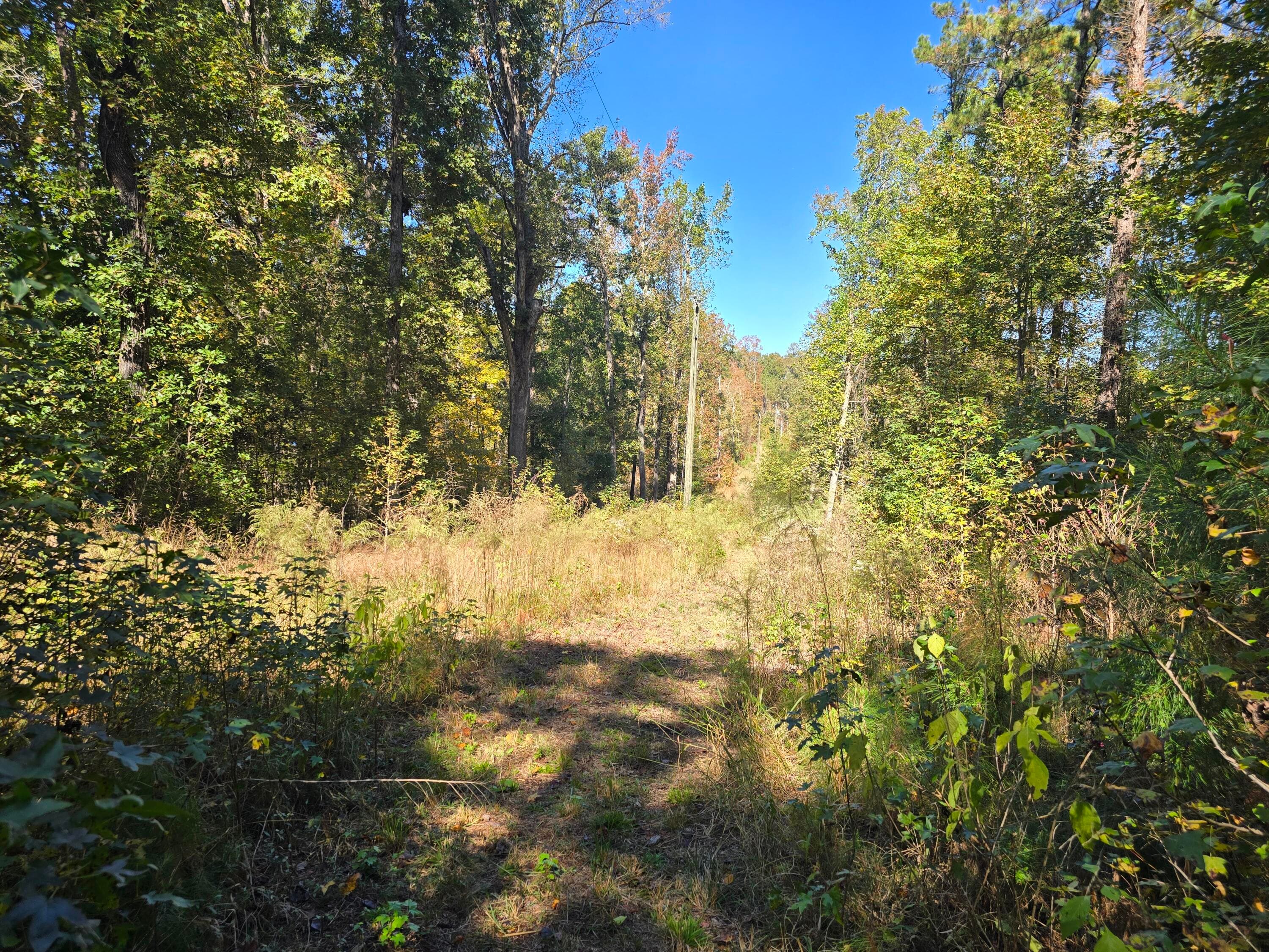 Mixed Use at 7501 Rainey Morris Road, Appling, GA 30802, photo 41 of 47