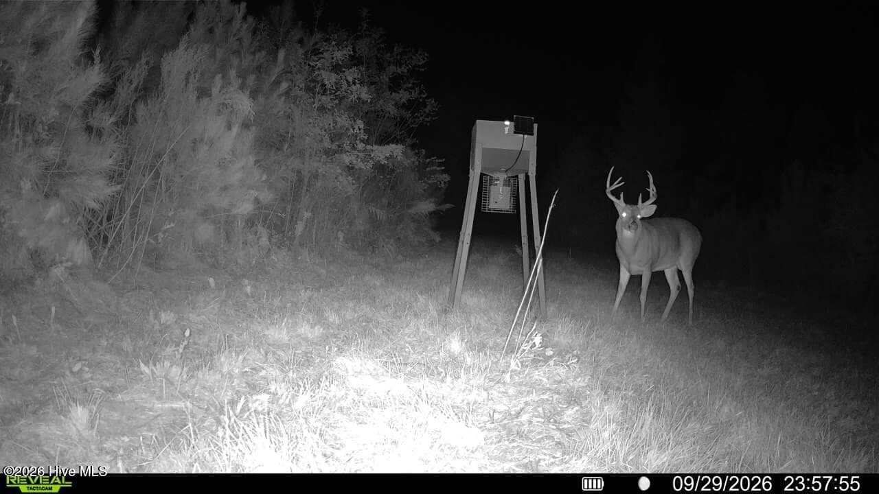 Undeveloped at 0 Pughsley Road, Stapleton, GA 30823, photo 13 of 13