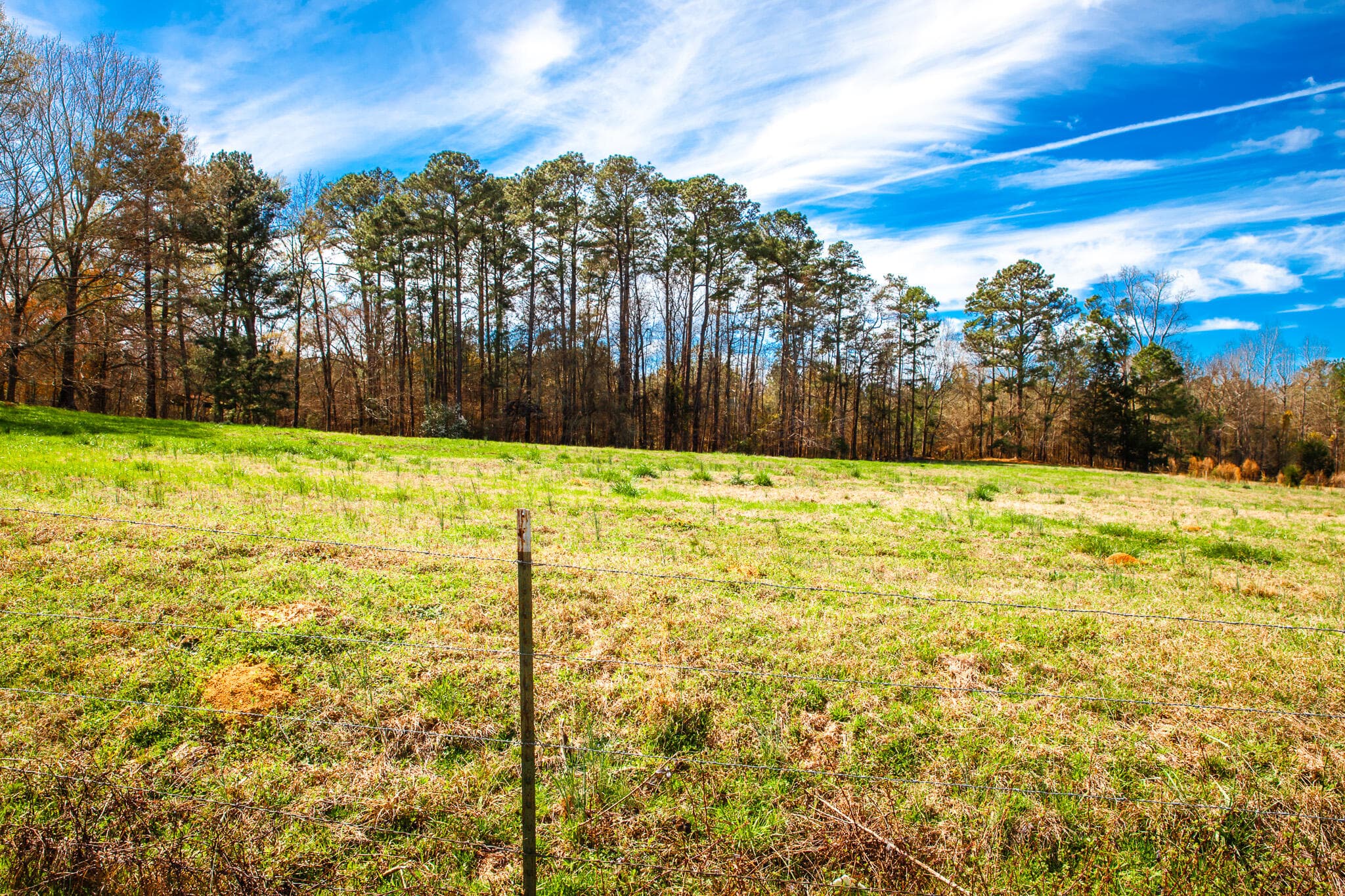 Undeveloped at 3500 5 Mistletoe Road, Appling, GA 30802, photo 3 of 5