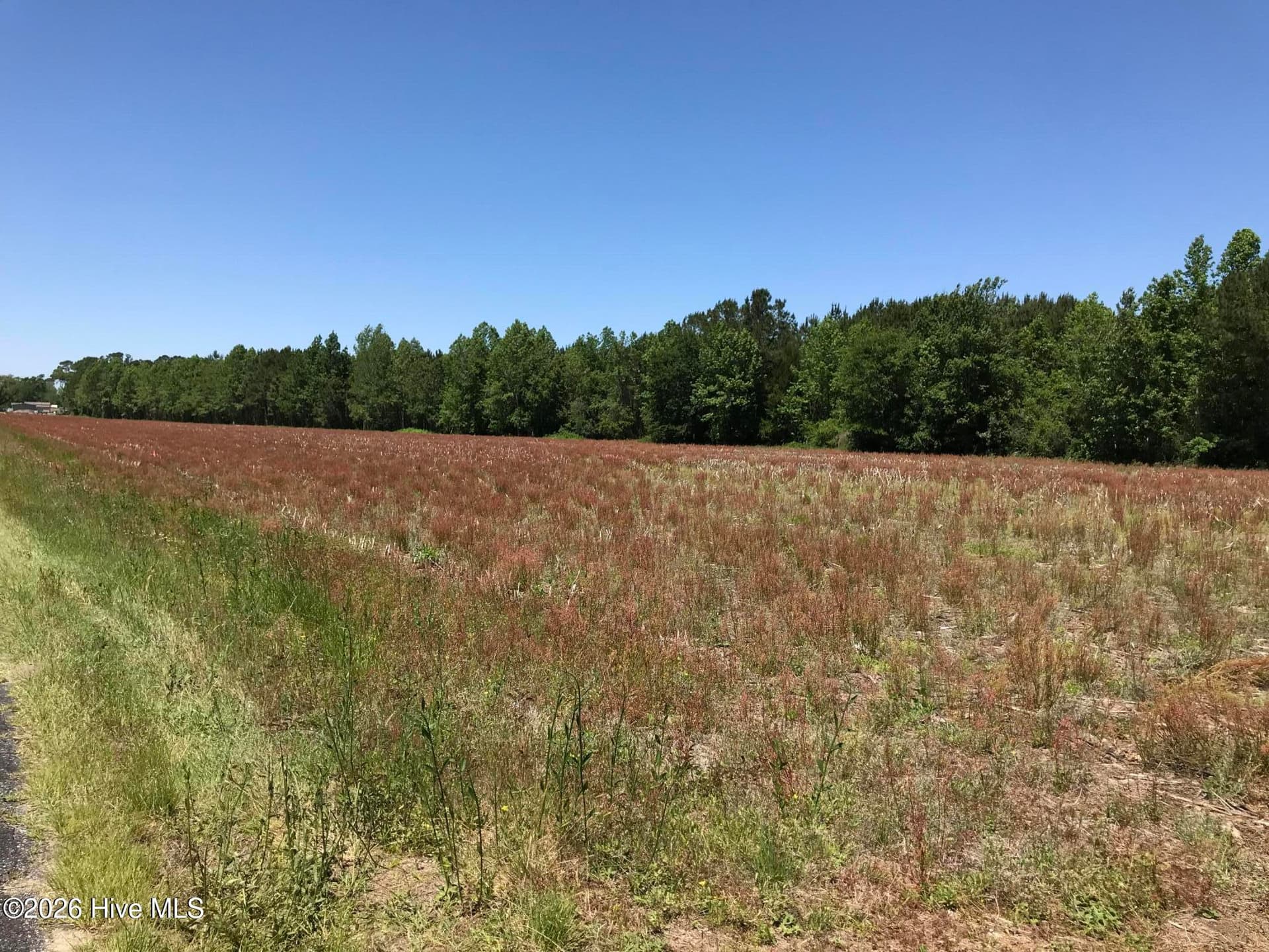 0 4 and 5 NW Little Prong Rd NW, Ash, NC 28420