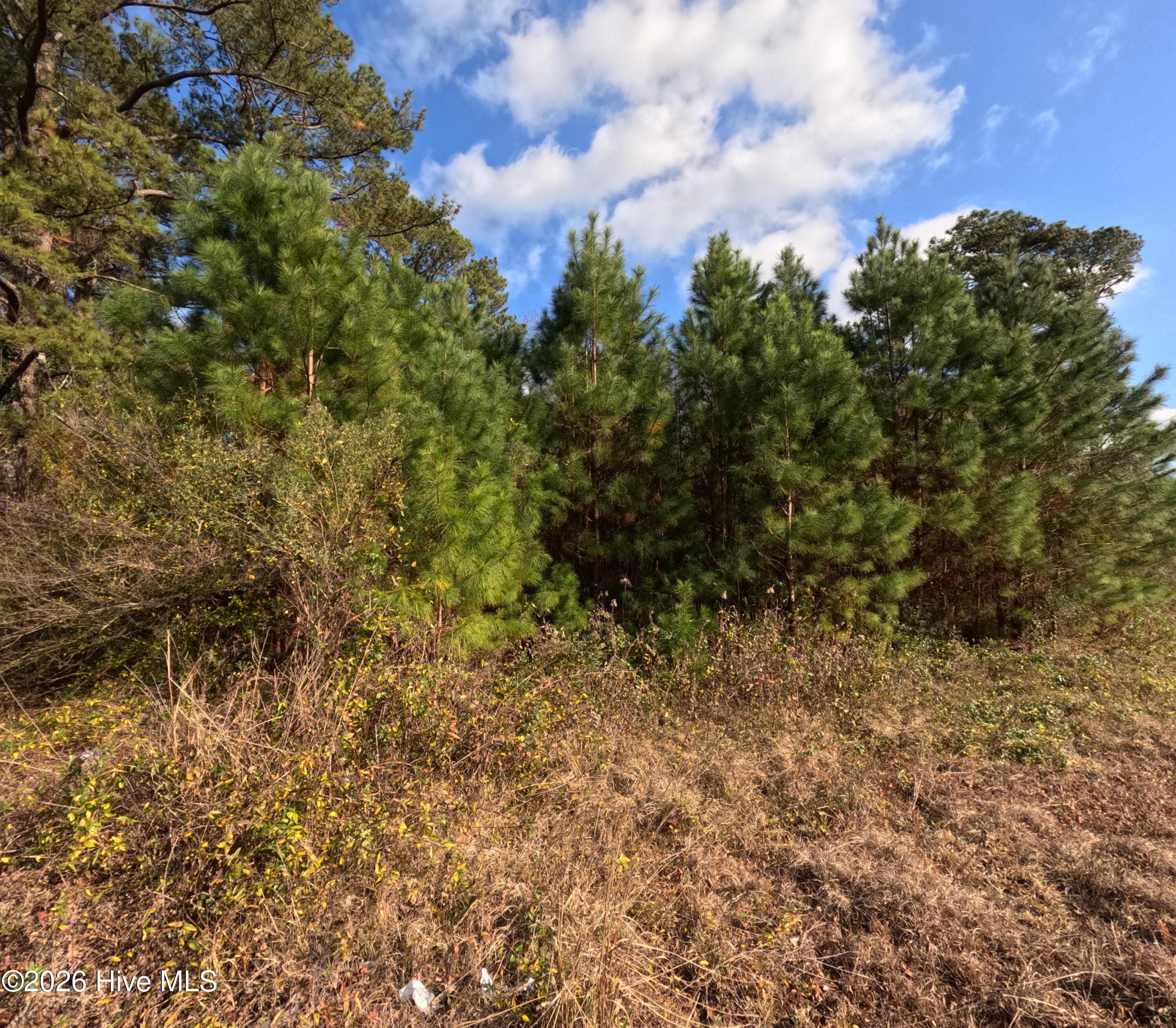 Residential Land at 353 Piney Green Road, Jacksonville, NC 28546, photo 2 of 2