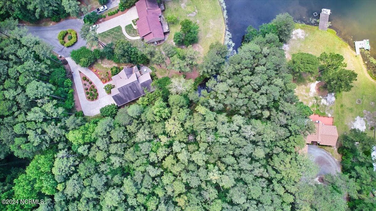 Undeveloped at 16 Lakeshore Drive, Wagram, NC 28396, photo 4 of 8