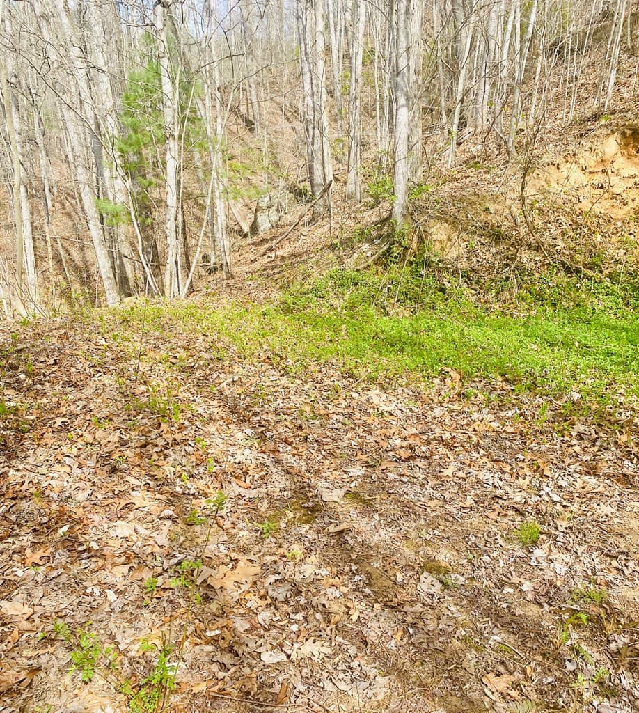 Land at 26 Hidden Falls Trail, Robbinsville, NC 28771, photo 2 of 2