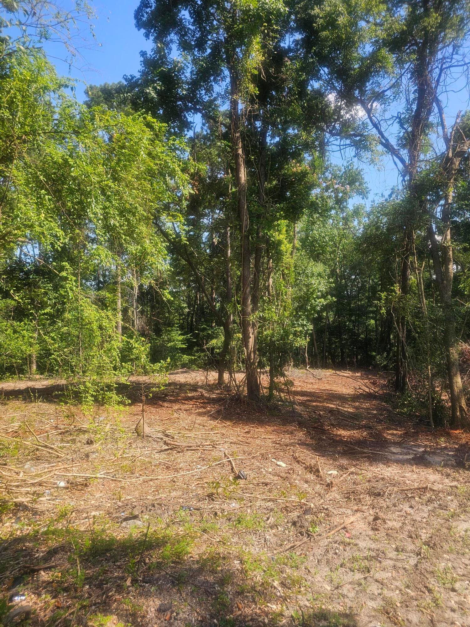 Residential Lot at 470 Forrest Drive, Louisville, GA 30434, photo 5 of 6