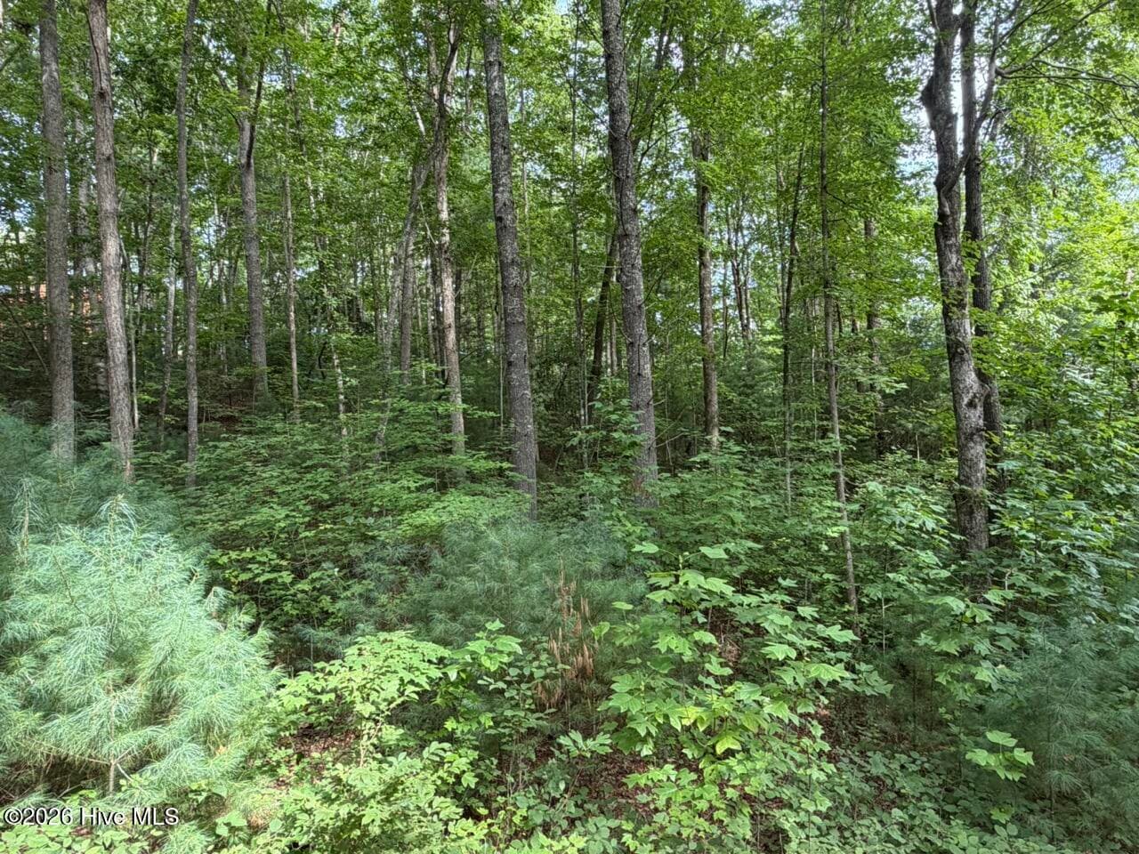 Residential Lot at Lot 9 27 Confederate Circle, Murphy, NC 28906, photo 4 of 7