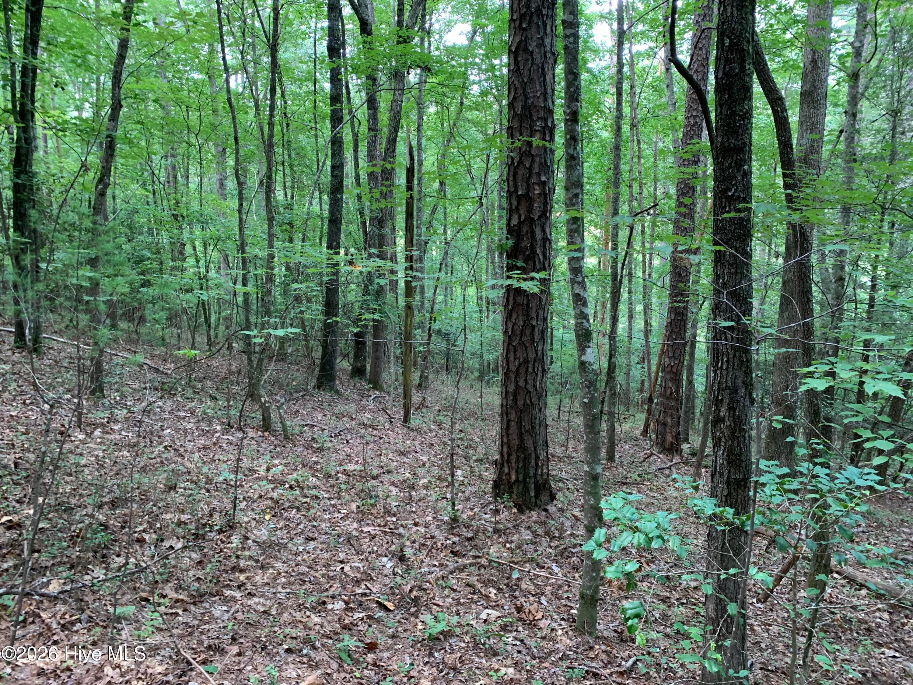 Wooded at 2.87 Ac Hedden Road, Murphy, NC 28906, photo 9 of 14