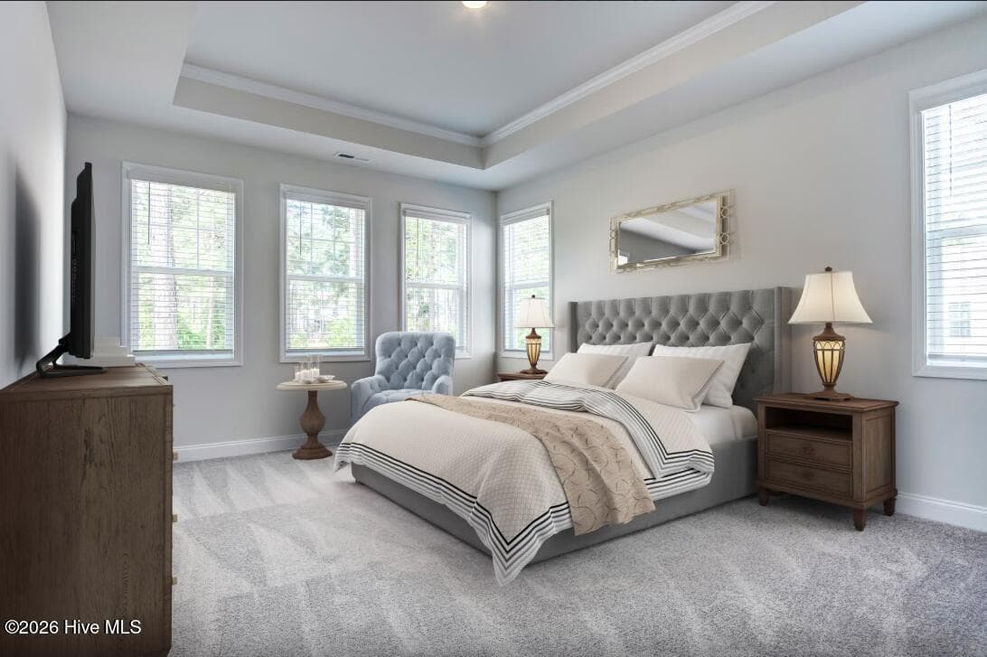 Representation - 1380 Noble Oak Place Lot #25, Leland, NC 28451