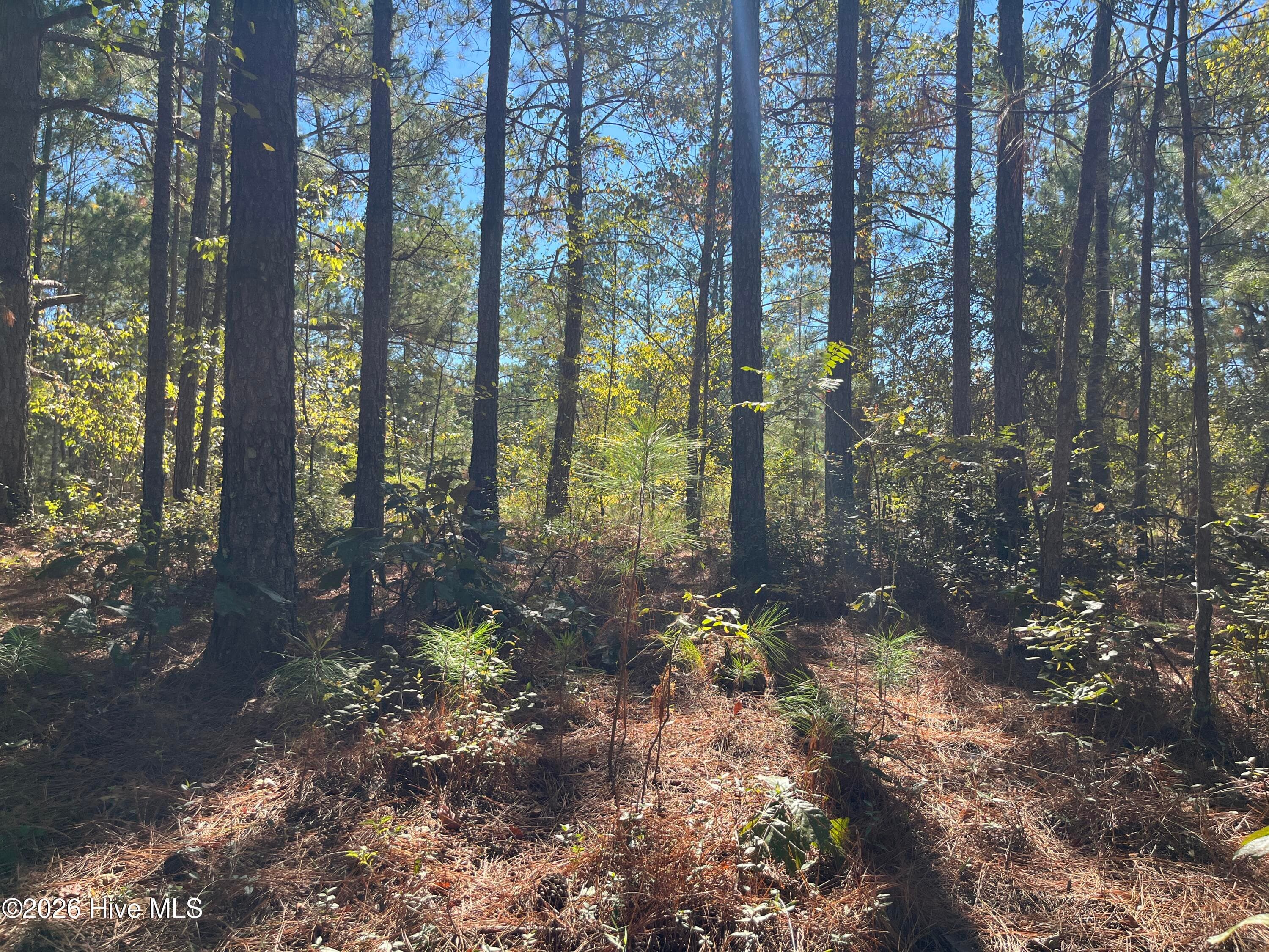 Residential Lot at Lot 9 Jasper Davis Road, Avera, GA 30803, photo 14 of 21