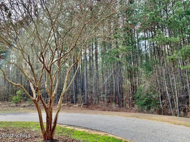 Residential Lot at 141 N State Lane, Rockingham, NC 28379, photo 15 of 17