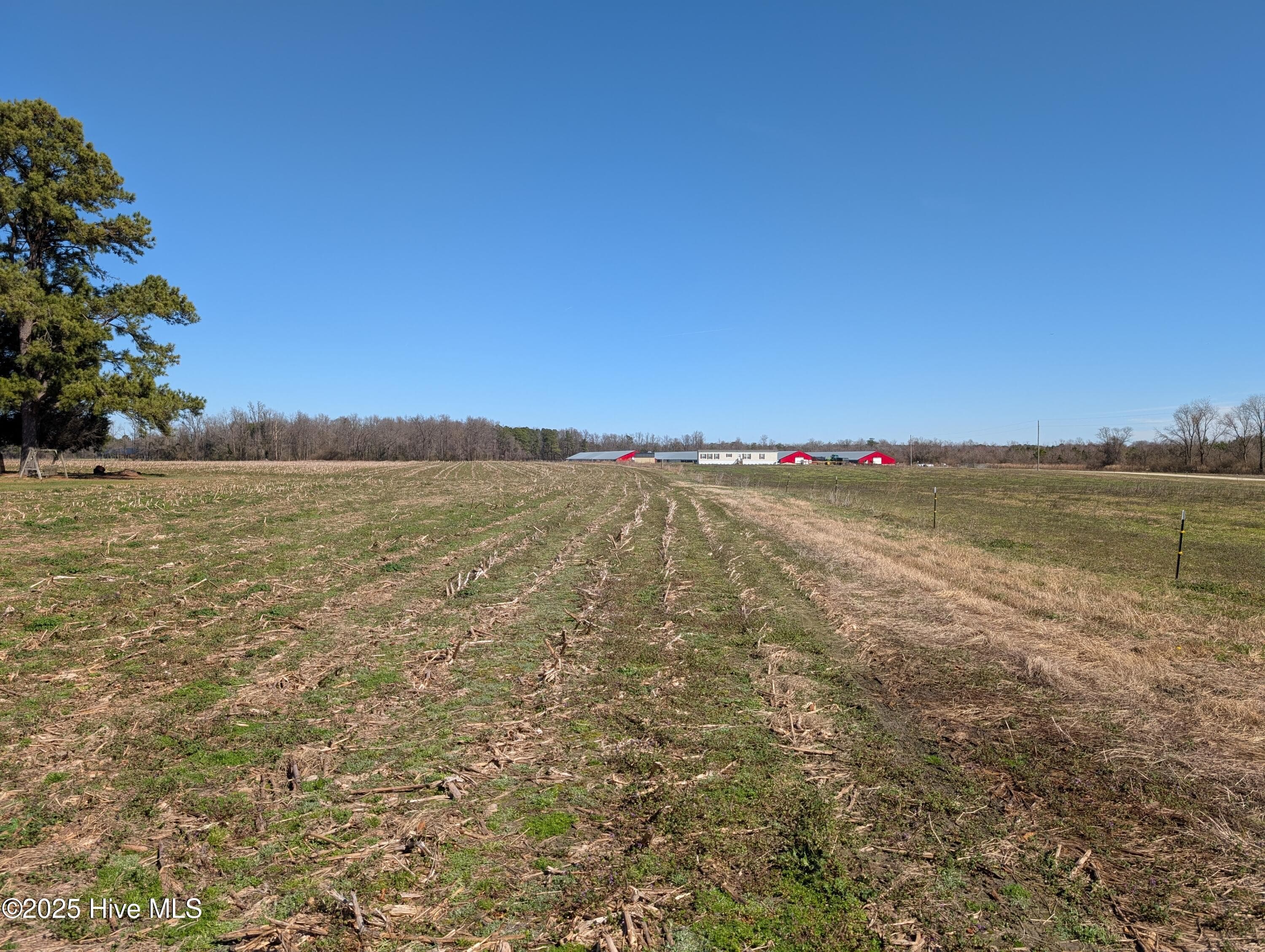 Farm at 000 1 Cedar Fork Road, Beulaville, NC 28518, photo 2 of 7
