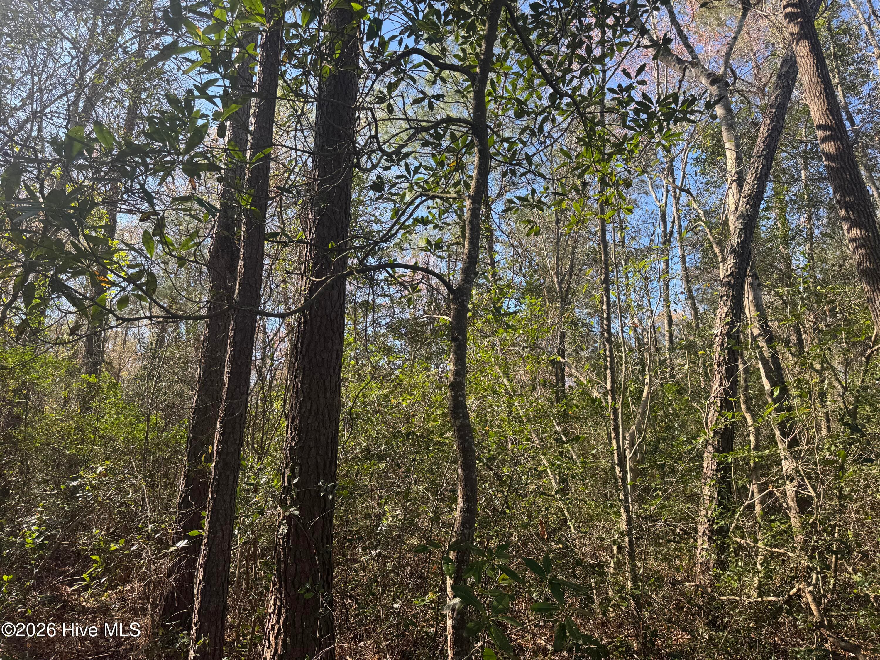 Mixed Use at 0 2 & 3 Little Prong Road NW, Ash, NC 28420, photo 6 of 7