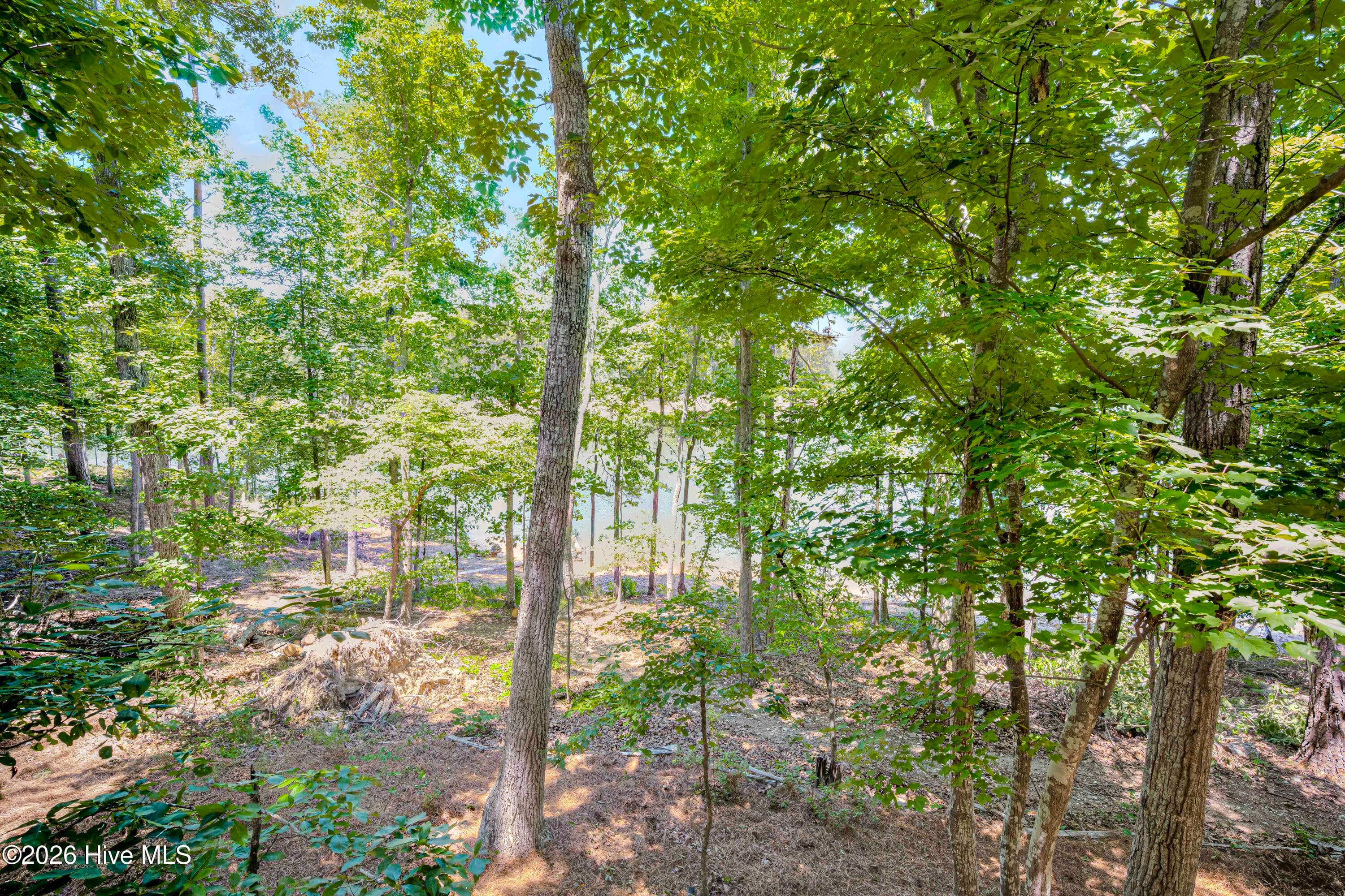 Single Family Residence at 201 Rhett Drive, McCormick, SC 29835, photo 83 of 104