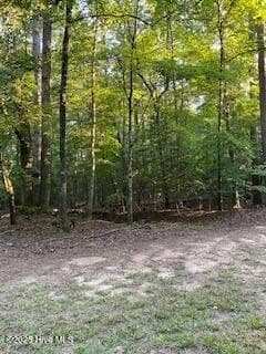 Residential Lot at 91a Palomino Road, Carthage, NC 28327, photo 2 of 6